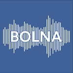 Bolna AI