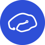 BrainKey