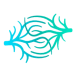 Coral Genomics