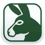 Donkey
