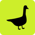 Gutgutgoose