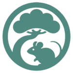 Linzumi