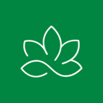 Saatvy