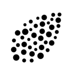 Shiru
