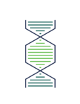 Yemaachi Biotechnology